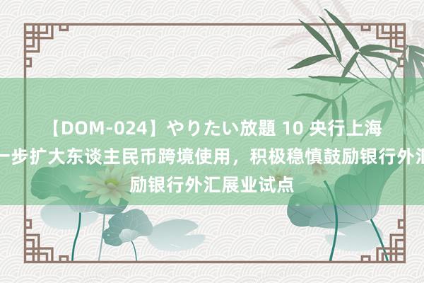 【DOM-024】やりたい放題 10 央行上海总部：进一步扩大东谈主民币跨境使用，积极稳慎鼓励银行外汇展业试点