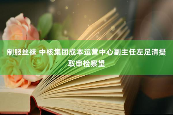 制服丝袜 中核集团成本运营中心副主任左足清摄取审检察望