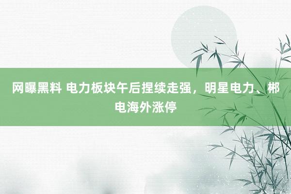 网曝黑料 电力板块午后捏续走强，明星电力、郴电海外涨停