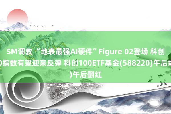 SM调教 “地表最强AI硬件”Figure 02登场 科创100指数有望迎来反弹 科创100ETF基金(588220)午后翻红