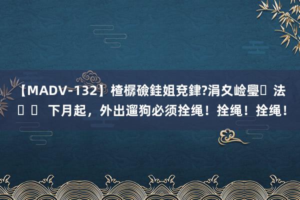 【MADV-132】楂樼礆銈姐兗銉?涓夊崄璺法 		 下月起，外出遛狗必须拴绳！拴绳！拴绳！