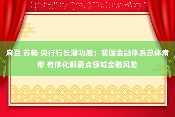 麻豆 苏畅 央行行长潘功胜：我国金融体系总体肃穆 有序化解要点领域金融风险