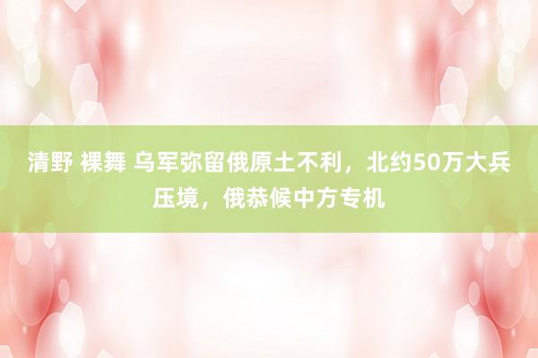 清野 裸舞 乌军弥留俄原土不利，北约50万大兵压境，俄恭候中方专机