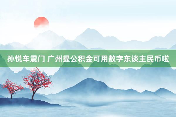 孙悦车震门 广州提公积金可用数字东谈主民币啦