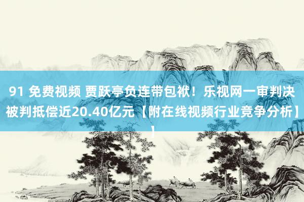 91 免费视频 贾跃亭负连带包袱！乐视网一审判决被判抵偿近20.40亿元【附在线视频行业竞争分析】