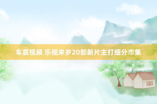 车震视频 乐视来岁20部新片主打细分市集