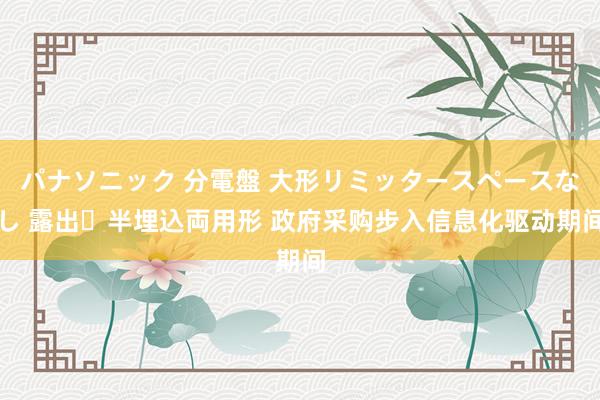 パナソニック 分電盤 大形リミッタースペースなし 露出・半埋込両用形 政府采购步入信息化驱动期间