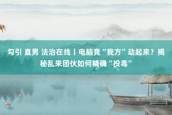 勾引 直男 法治在线丨电脑竟“我方”动起来？揭秘乱来团伙如何精确“投毒”