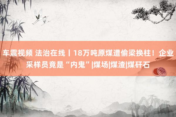 车震视频 法治在线丨18万吨原煤遭偷梁换柱！企业采样员竟是“内鬼”|煤场|煤渣|煤矸石