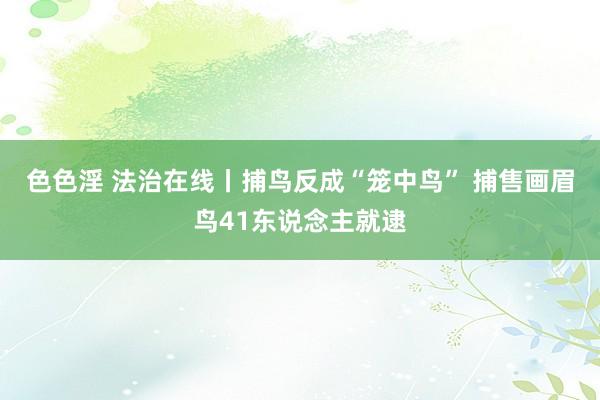 色色淫 法治在线丨捕鸟反成“笼中鸟” 捕售画眉鸟41东说念主就逮