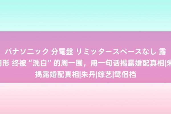 パナソニック 分電盤 リミッタースペースなし 露出・半埋込両用形 终被“洗白”的周一围，用一句话揭露婚配真相|朱丹|综艺|鸳侣档